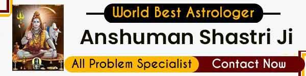 Astrologer Anshuman Shastri Ji +91-8287541966